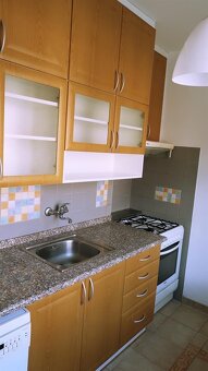 Světlé 2+1 na Petřinách, minutu od metra - 6