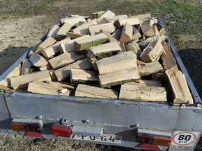 Palivové dřevo +rizikové kácení stromů - 6