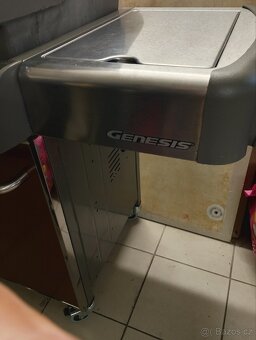 Gril Weber Genesis - 6