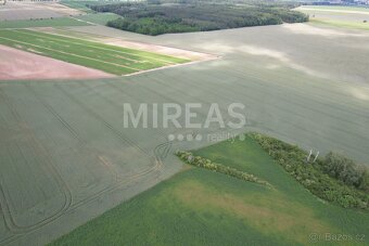 Jiřice, prodej pole 23 867 m2, okr. Nymburk. - 6