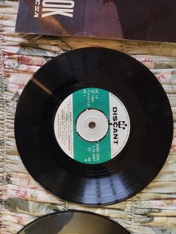 Gramofonová deska - 6