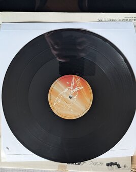 U.N.K.L.E-Psyence Fiction Survival Kit VINYL - 6