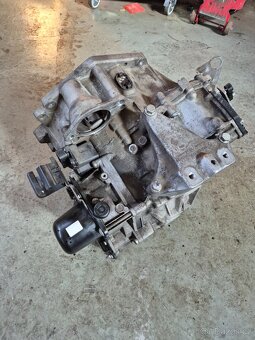Dsg 7st. Mpl - 6