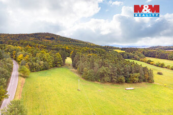 Prodej lesa, 39171 m², Ježovy - 6