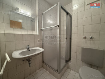 Prodej bytu 1+1, 30 m², Zwieslerwaldhaus - 6