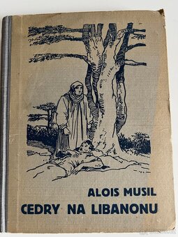 Stare knihy, nektere do roku 1945 - 6