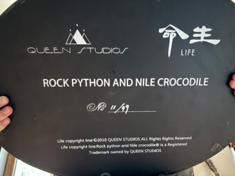 Queen Studios - Rock Python and Nile Crocodile - 6