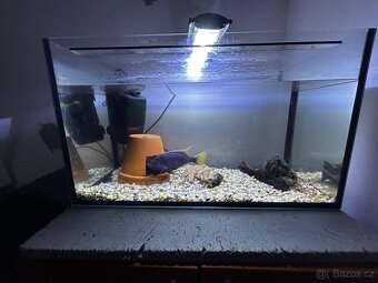 Kompletní akvárium se skřinkou - 6