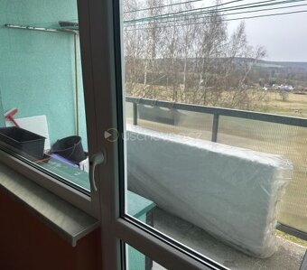 Bytová jednotka 1+1, č. jednotky 2565/7 včetně podílu na spo - 6