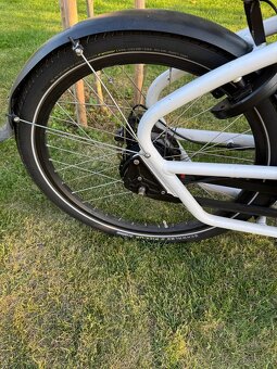 Cargo kolo Urban Arrow Family - 6