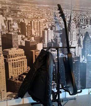 E Kytara SCHECTER DIAMOND SERIES STEALTH- C1 - 6