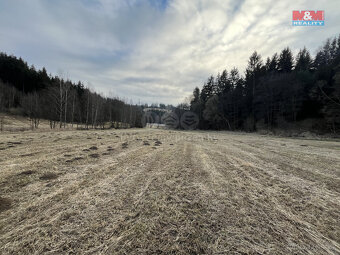 Prodej louky, 10890 m², Petrovice II - 6