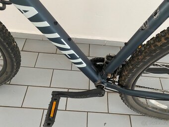 Panske kolo 29 Specialized - 6