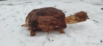 Dřevěný masivní samorost-želva. - 6