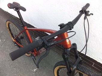 Pells Razzer Elite 29" - 6