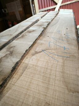 DUB prkna 32mm suché - 6