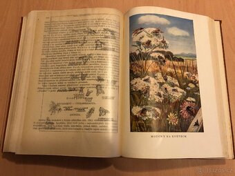 Brehmův život zvířat - 6