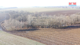 Prodej lesa, 2716 m², Neplachovice - 6