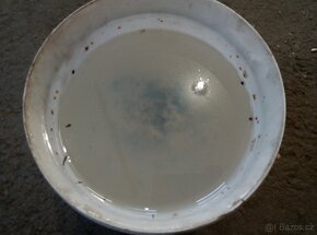 CHS - EPOXY 510 - 6