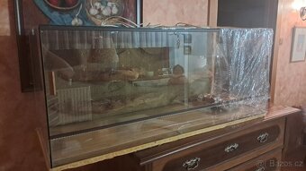 Terárium 120x50x50 - 6