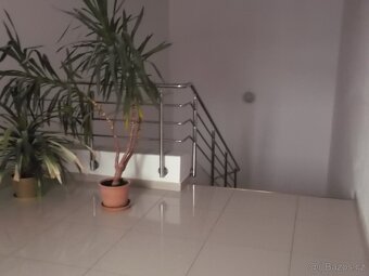 Pronájem kanceláře - 6