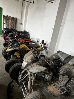 650 Campell Bashan 250 - 6