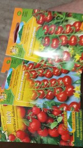 Prodám sadbu rajčat,více druhů,Kladno a okolí možno dovoz - 6