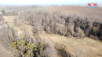 Prodej lesa, 4916 m², Neplachovice - 6