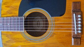 Kytara Washburn - 6