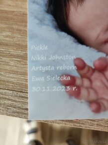 Reborn panenka Pickle - 6