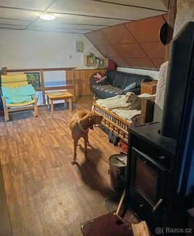 Prodej stylové chalupy se stodolou, jižní Čechy - 6