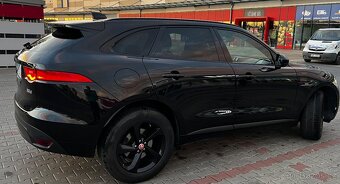 Jaguar - 6