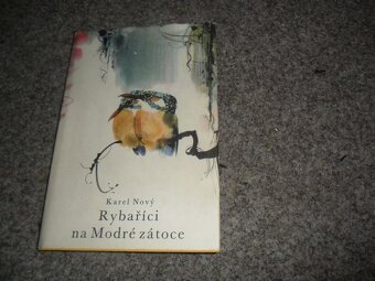 Čapek Pohádky, O letadélku káněti, Rybaříci na Modré zátoce - 6