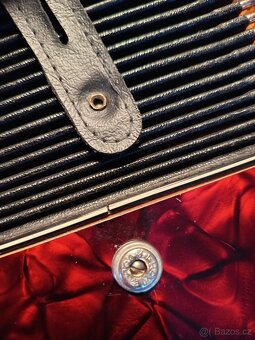 Harmonika Torna Sorenta - 6