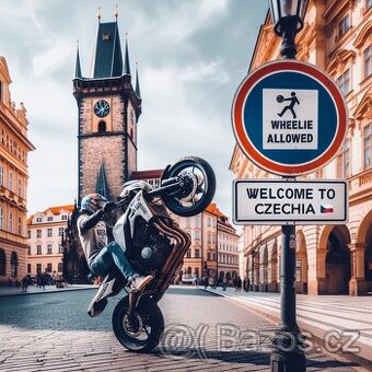 Trenažer jízdy po zadním kole, wheelie spider - 6