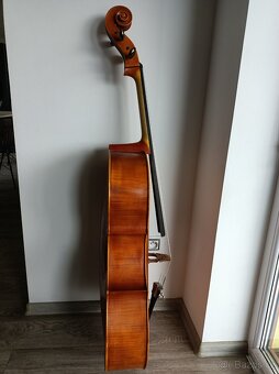 Violoncello 4/4 - 6