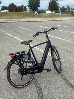 Elektrokolo SMART Gazelle Grenoble C8 Hybrid - 6