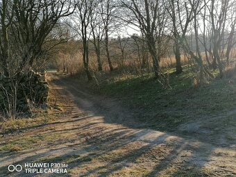 Vyjížďka na koni v Národním parku Podyjí - 6