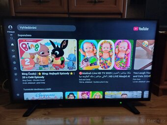 Smart TV Toshiba 43L2163DG-úhlopříčka 108cm - 6