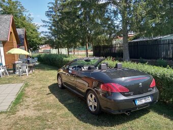 307cc - 6