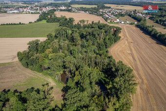 Prodej lesa, 2252 m², Horka nad Moravou - 6