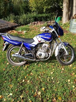 Adams 125 - 6
