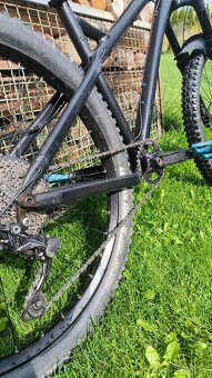 Dartmoor primal 2021 - 6