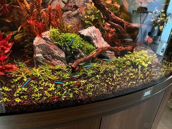 Prodám komplet Juwel Vision 180l. - 6