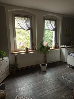 Větší dům k bydlení i podnikání - 6