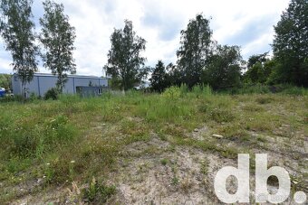 Prodej pozemky pro komerční výstavbu, 5 173 m2 - Sadov - Les - 6