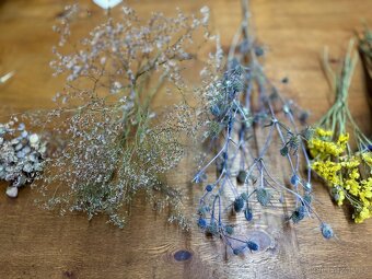 Sušené květiny - 6