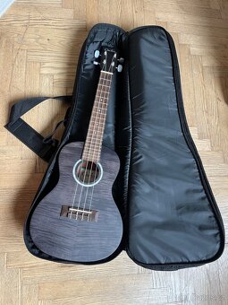Koncertní ukulele CORDOBA 15CFM Granite Gray + obal - 6