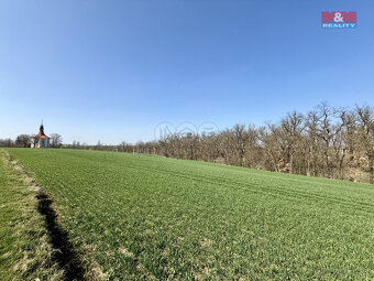 Prodej pole, Číčovice - 6