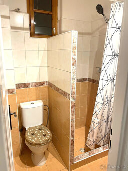 Pronájem hezkého bytu 1+kk, 24 m2, Praha 5, Malá Chuchle - 6